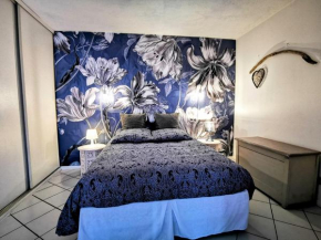 La Bulle Bleue - Parking-Terrasse-aéoport-MEET